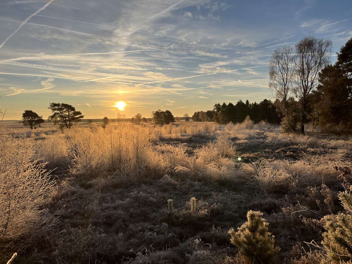 🍂 Herbst in der Lüneburger Heide: Die schönste Zeit, von der kaum jemand weiß