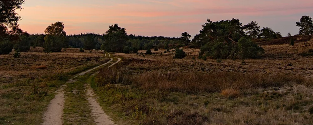 🚴 Cycling from Wietzendorf: Two House Routes & the HeidekreisTour
